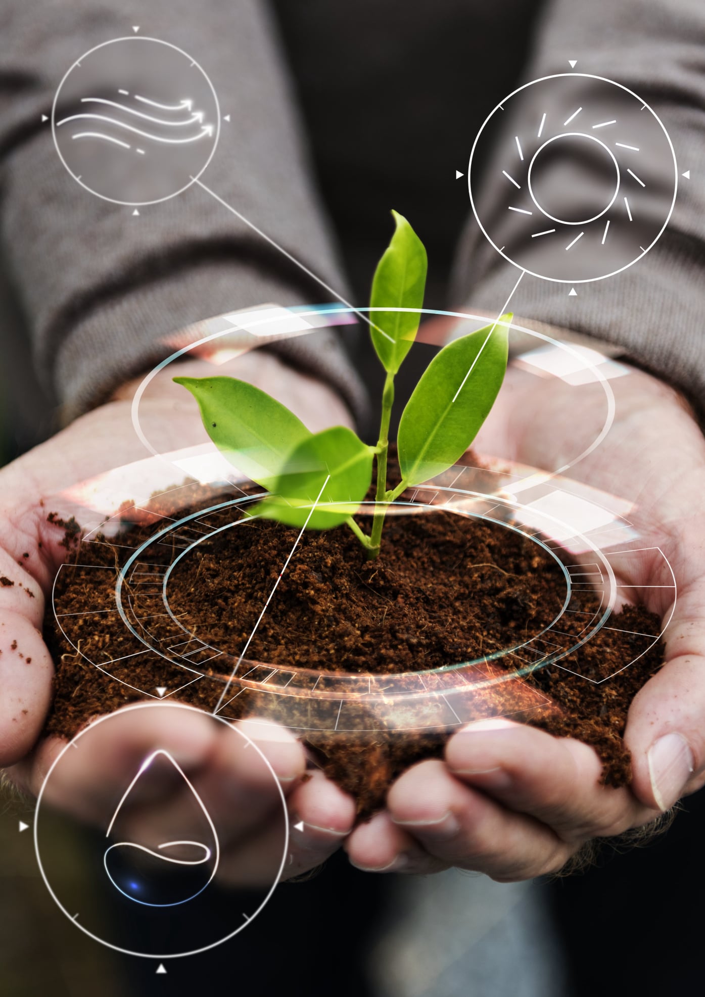 Nuevas regulaciones para fertilizantes en Perú 2025